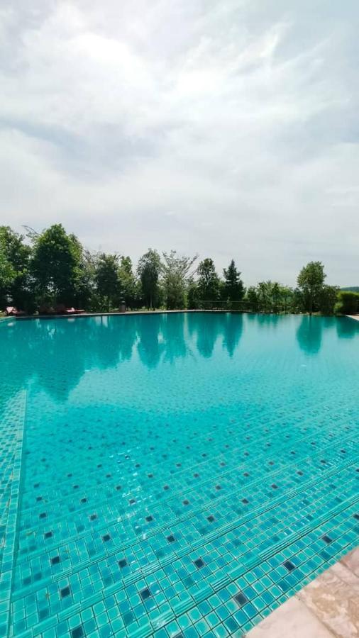 Theolive Family Suite @Klia By Honey Homestay Σεπάνγκ Εξωτερικό φωτογραφία